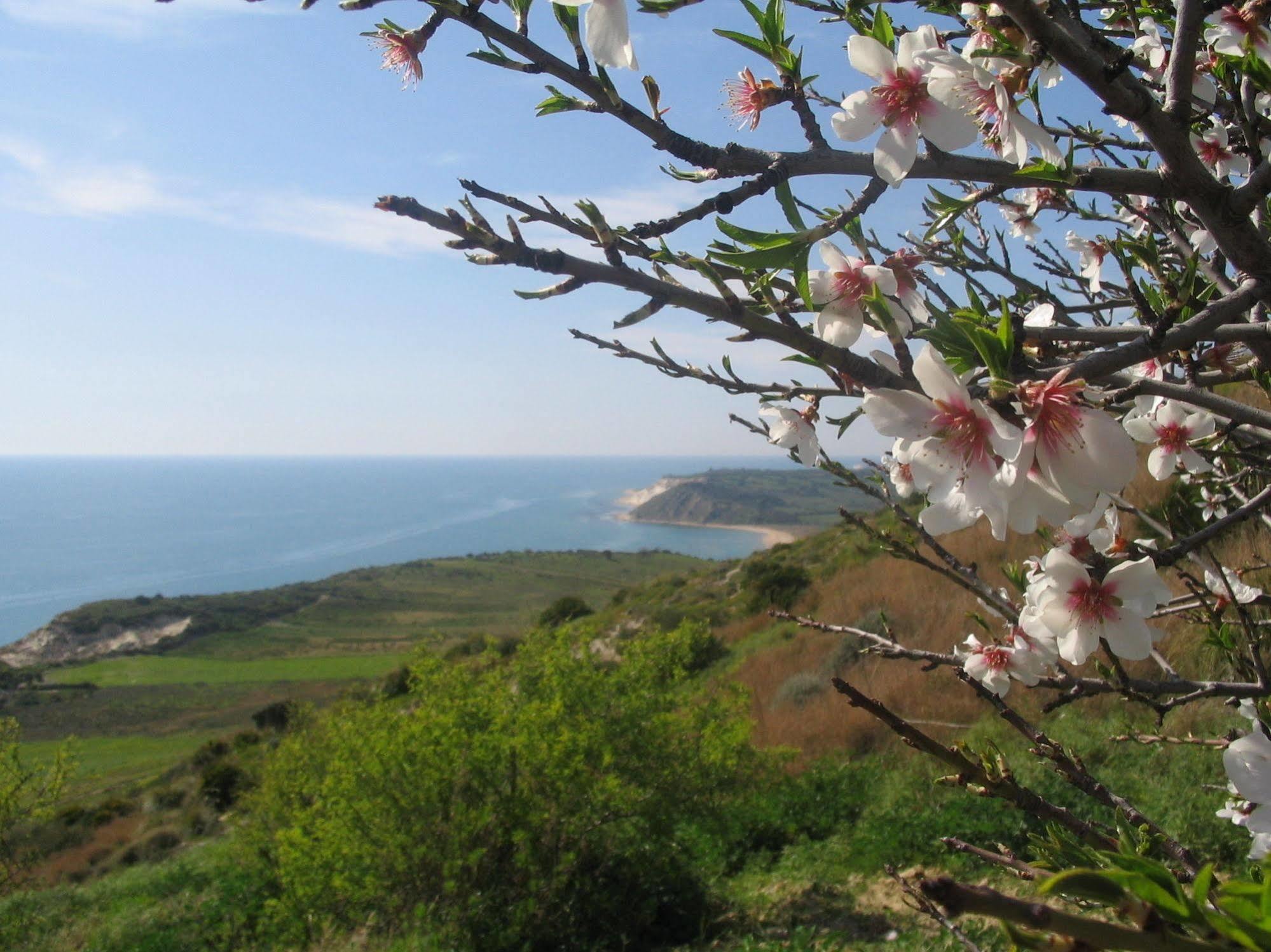 سيكوليانا مارينا Resort Sole Mediterraneo المظهر الخارجي الصورة